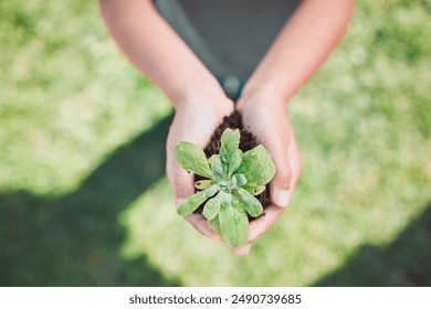 Top view, hands and kid with plant for ecology, arbor day or nature conservation on grass. Tree, environment and child with seedling in soil for sustainability, growth or climate change above outdoor - Powered by Shutterstock