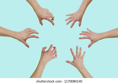 Top view of hands reaching for something isolated on a green, pastel background. The concept of wanting to grab something, gain. - Powered by Shutterstock