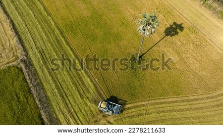 Top view harvester car machine to harvest rice field tree working in Thailand.