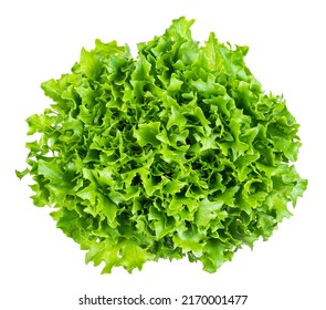 top view of head of fresh endive lettuce cutout on white background - Shutterstock ID 2170001477