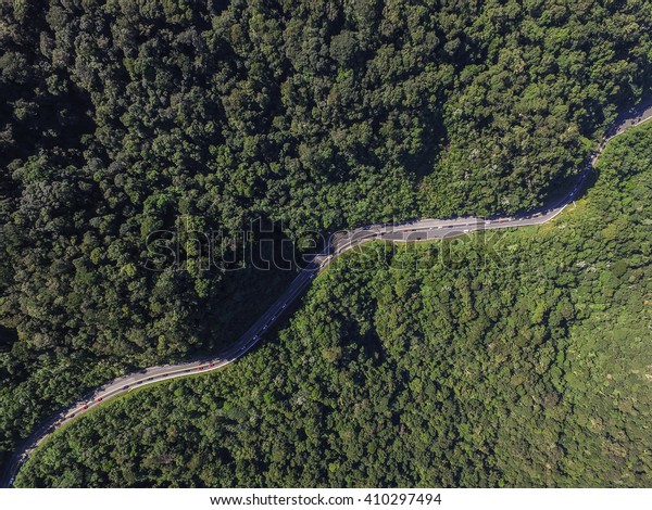 Top View of Highway in a\
Forest