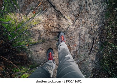 Top View Of Hiking Shoes On A Forest Path. POV Photo Of Hiking Shoes On A Dirt Hiking Trail.