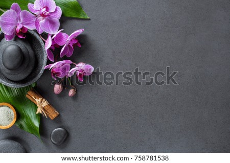 Image, Stock Photo orchid Elegant Wellness