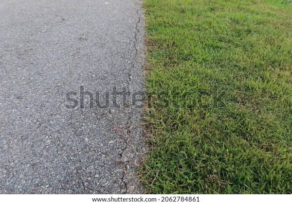top view, image for background\
cement road, divided in half, green grass difference\
concept