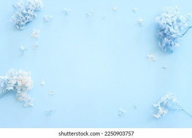 Top view image of blue Hydrangea flowers over pastel background .Flat lay