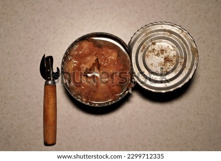 Top view image of an open tin can of canned meat.