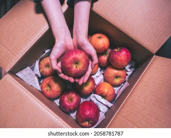 Top View Image Of Ripe Red Apple In Woman Hand Over Corrugated Cardboard Box 