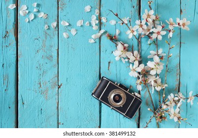 top view image of spring white cherry blossoms tree next to old camera on blue wooden table
 - Powered by Shutterstock