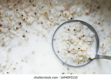 Top View Of Job's Tears  Or Adlay Millet Seeds For Background. Boiled Of Jobâ€™s Tears With Coconut Milk, Thai Dessert With Clipping Path.