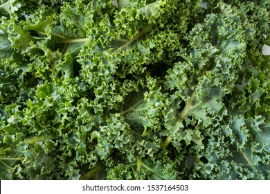 Top view. Kale leaves. Background of kale leaves. Fresh kale leaves background. Texture kale close up. 