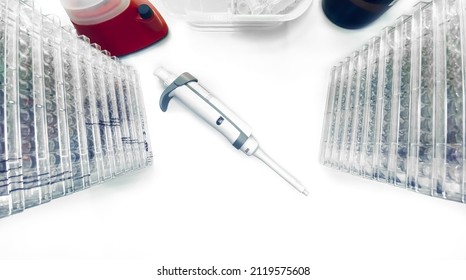 Top View Of A Laboratory Benchtop Containing Basic Research Equipment Like Pipette, 96-well Plates For Cell Culture,  Vortex, Test Tube Container, Glass Bottle, Etc.