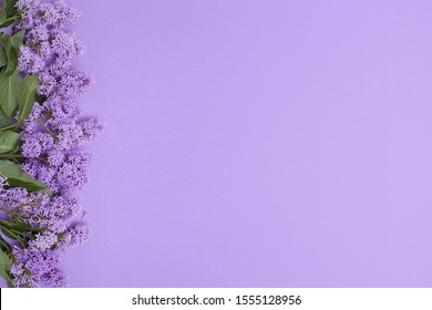 Top view laying lilac