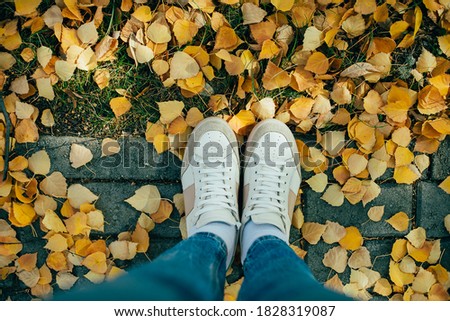 Top view of legs in boots on the autumn leaves. Autumn fall.