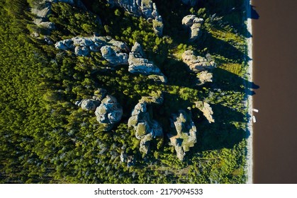 Top View Of The Lena River