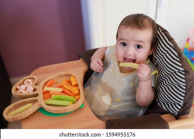 Top View Of Little Baby Eating By Himself BLW Or Baby Led Weaning. Cute Boy Self Feeding With Finger Food Dishes Of Mix Vegetables Corn,carrot,cucumber, Pumpkin And Fish