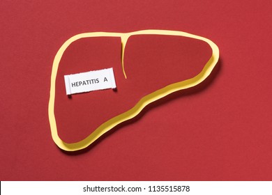 top view of liver and lettering hepatitis a on red background, world hepatitis day concept