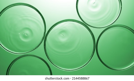 Top View Macro Shot Of Clear Drops Are Falling In Multiple Petri Dishes With Clear Liquid On Green Background | Abstract Face Care Cosmetics Mixing Concept