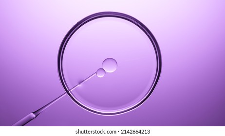 Top view macro shot of pipette injects oil into transparent liquid in petri dish on violet background | Abstract skin care cosmetics mixing concept
