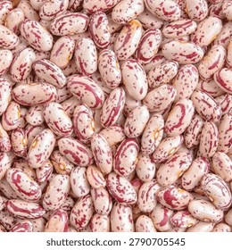 Top view macro texture of raw pinto beans. Cranberry or borlotti beans background pattern.
Uncooked organic pinto beans full frame background. High protein healthy vegan food concept.
Close up heap of dried speckled kidney beans, agricultural harvest and food production.