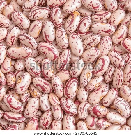 Top view macro texture of raw pinto beans. Cranberry or borlotti beans background pattern.
Uncooked organic pinto beans full frame background. High protein healthy vegan food concept.
Close up heap of dried speckled kidney beans, agricultural harvest and food production.