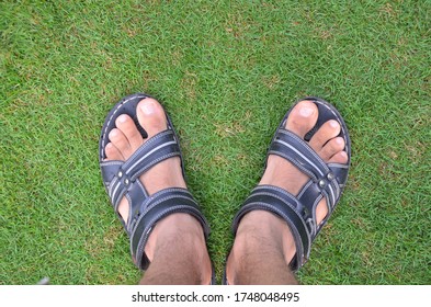 Top View Male Feet Wearing Black Sandals On Green Bermudagrass