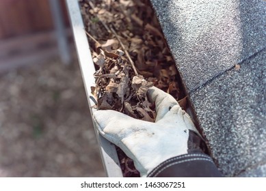 Top View Man Hand In Gloves Cleaning House Gutter From Leaves And Dirt. Roof Gutter Cleaning Near Shingles Roof In Summer Time