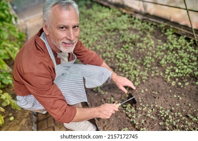 Top view of man looking at camera in greenhouse