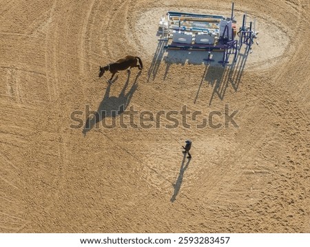 Top view of a man training a jumping sorrel horse