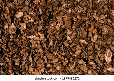 top view of many pieces of brown wooden bark and splinters. Seamless texture background. May be as wallpaper.