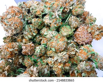 Top View Of Medical Marijuana Flower Buds