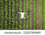 Top view of modern agricultural drone flying above the field and scanning herbs and collecting data with multispectral camera.