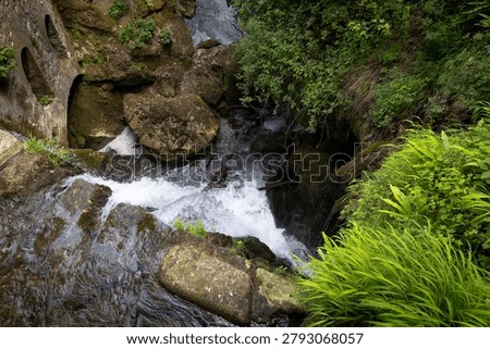 Top view of a mountain stream cascading over rocks and disappearing into a narrow rocky gorge. Clear freshwater flows through a natural canyon surrounded by moss-covered stones and lush green vegetation, creating a dramatic wilderness landscape and showcasing the power of water erosion.