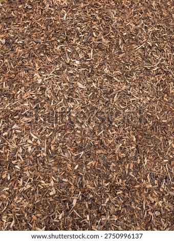 Top view of Mulch, a protective and decorative layer of wood chips
