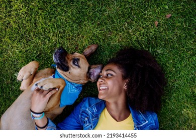 Top view of multiracial teenage girl and her dog lying on the grass in city park, concept of relationship between dog and teenager, everday life with pet. - Powered by Shutterstock