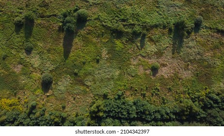 Top view of natural green grass and bushes. Aerial view. Pattern - Shutterstock ID 2104342397