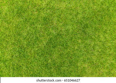 Top View Of Natural Green Grass Texture, Aerial View Of Park