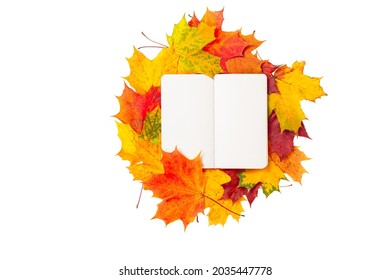 Top view of a notebook with autumn leaves isolated on white background. Colorful maple leaves and blank pages of diary book. Autumn mockup, copy space, education concept.