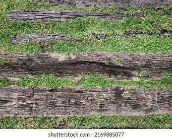 Top View, Old Decay Plank Wood In Garden, Rough Skin Texture Background.