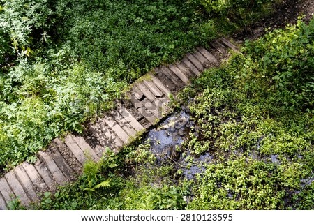 Top view of an old partially destroyed bridge over a small swamp. Decaying structure in natural wetland