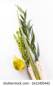 Top View On A Composition Of Jewish Sukkot Festival Symbols. The Lulav - Set Of Four Species: Etrog, Palm Frond, Myrtle And Willow Twigs Isolated On White Background.