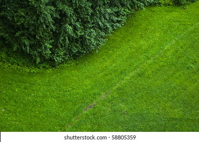 The Top View On A Green Lawn