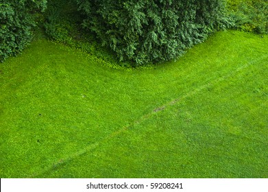 The Top View On A Green Lawn