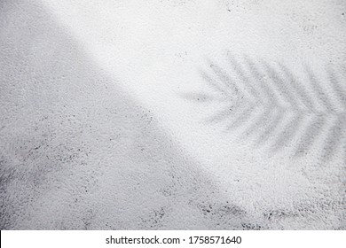 Top View On Pink Background With Sunlight And Shadow Of Coconut, Tropical Leaves. Travel Concept, Shadow Flatlay Palm