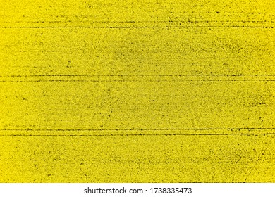 Top View On Straight Lines In Bright Yellow Rapeseed Field. Biofuel Production And Agriculture Concept With Copy Space. Natural Texture