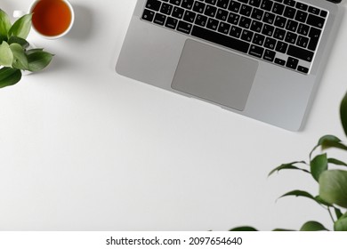Top view on white table with laptop and cup of tea and plant.