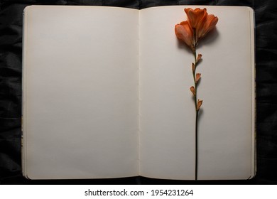 Top view of open book with orange freesia flower resting on top of empty blank pages on a black textured background. Empty space for text. Concept of nostalgia, sadness or remembrance - Powered by Shutterstock