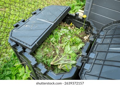 Top view open compost bin for organic waste in house. Inside it food waste and various plants from plot, weeds
