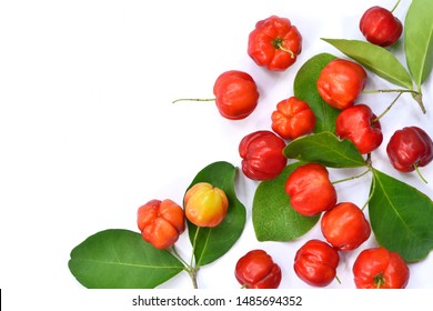 Top View Of Organic Acerola Cherry With Green Leaves Isolated On White Background.