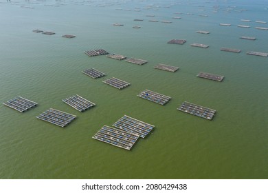 525 Oyster rafts Images, Stock Photos & Vectors | Shutterstock