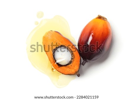 Top view of palm oil dripping from half palm nut isolate on white background. 
